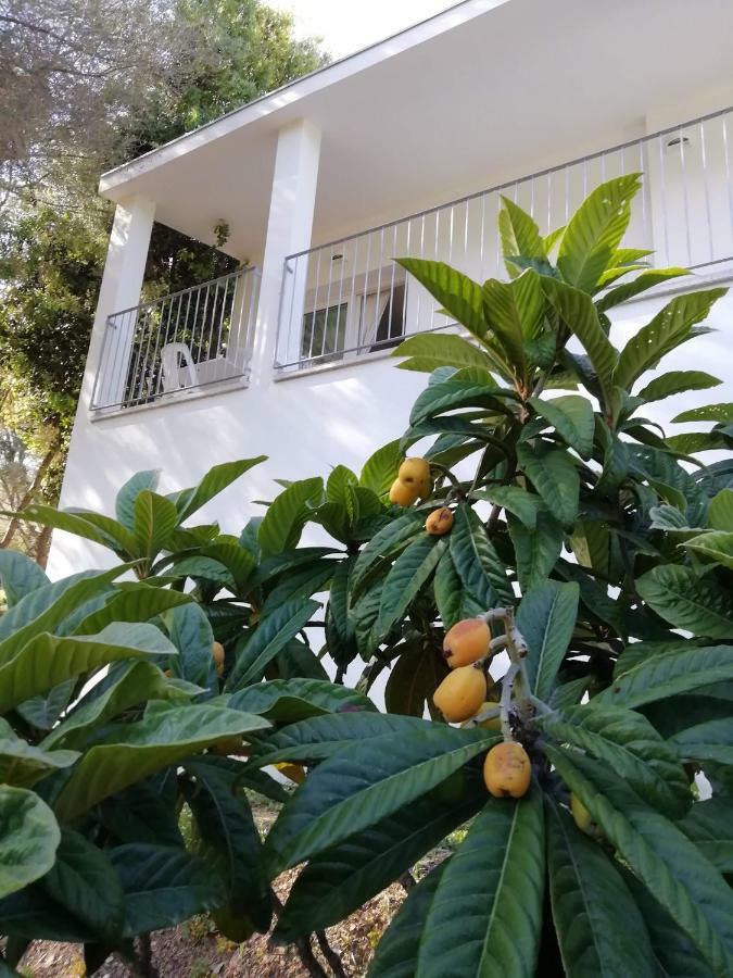 In Campagna Da Nino Hotel Olbia Exterior photo