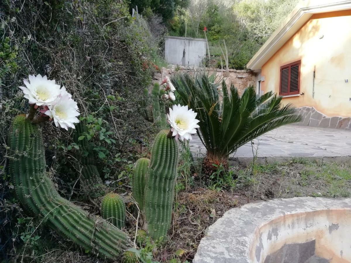 In Campagna Da Nino Hotel Olbia Exterior photo